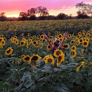 Meet your Posher, Julie